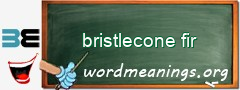 WordMeaning blackboard for bristlecone fir